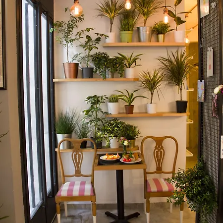 Mola Galata Bed and breakfast