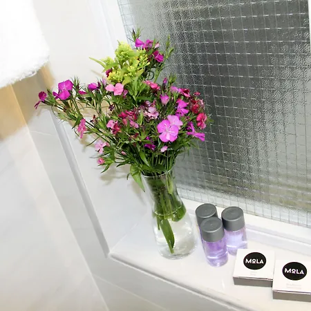 Mola Galata Estambul