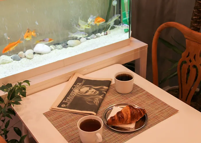 Mola Galata Istanbulská provincie