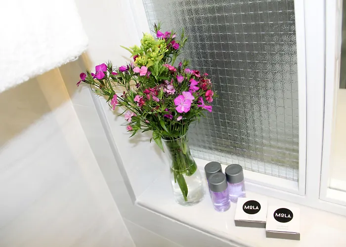 Mola Galata Istanbulská provincie